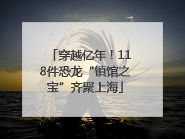 穿越亿年！118件恐龙“镇馆之宝”齐聚上海