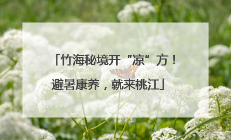 竹海秘境开“凉”方！避暑康养，就来桃江