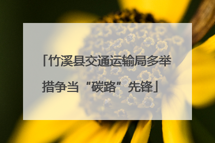 竹溪县交通运输局多举措争当“碳路”先锋