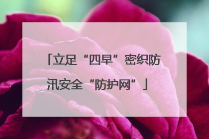 立足“四早”密织防汛安全“防护网”