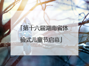 第十六届湖南省体验式儿童节启幕