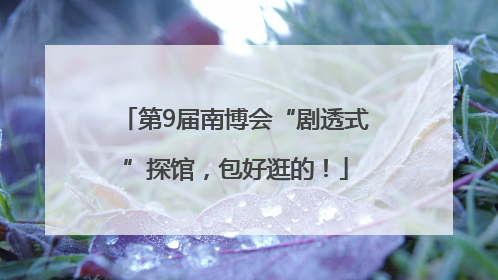 第9届南博会“剧透式”探馆，包好逛的！