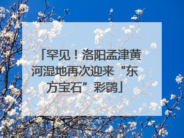 罕见！洛阳孟津黄河湿地再次迎来“东方宝石”彩鹮