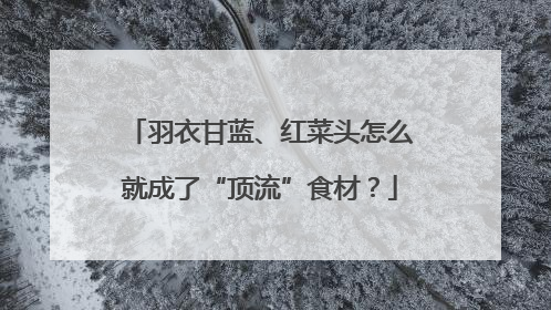 羽衣甘蓝、红菜头怎么就成了“顶流”食材？