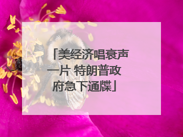 美经济唱衰声一片 特朗普政府急下通牒