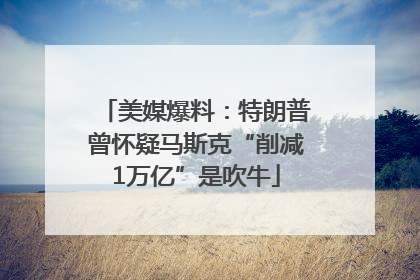美媒爆料：特朗普曾怀疑马斯克“削减1万亿”是吹牛