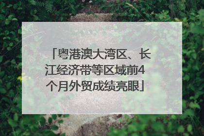 粤港澳大湾区、长江经济带等区域前4个月外贸成绩亮眼