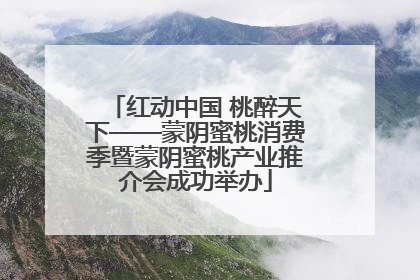 红动中国 桃醉天下——蒙阴蜜桃消费季暨蒙阴蜜桃产业推介会成功举办