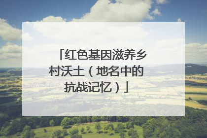 红色基因滋养乡村沃土（地名中的抗战记忆）