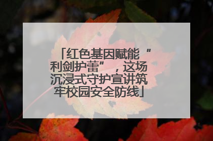 红色基因赋能“利剑护蕾”，这场沉浸式守护宣讲筑牢校园安全防线