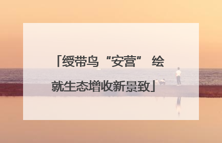 绶带鸟“安营” 绘就生态增收新景致