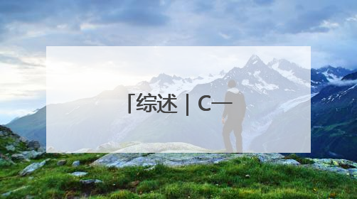 综述｜C一下，很长春
