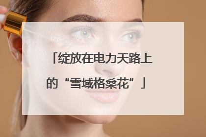 绽放在电力天路上的“雪域格桑花”