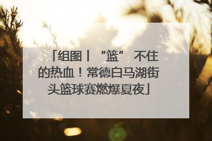 组图丨“篮” 不住的热血！常德白马湖街头篮球赛燃爆夏夜