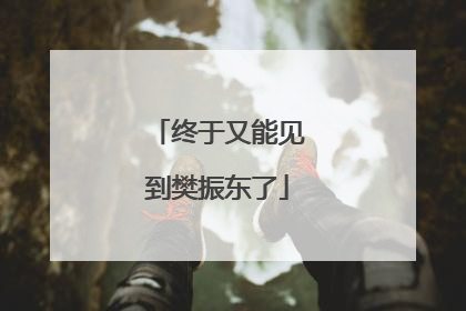 终于又能见到樊振东了