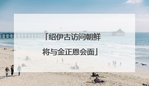 绍伊古访问朝鲜 将与金正恩会面
