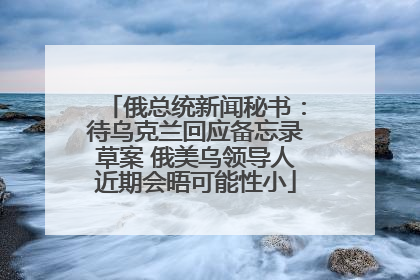 俄总统新闻秘书：待乌克兰回应备忘录草案 俄美乌领导人近期会晤可能性小