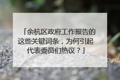 余杭区政府工作报告的这些关键词条，为何引起代表委员们热议？
