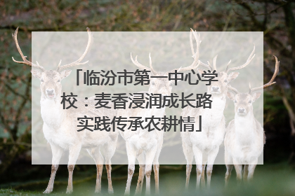 临汾市第一中心学校：麦香浸润成长路 实践传承农耕情