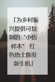 为乡村振兴提供可复制的“小悟样本” 红色热土焕发新生机