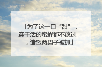 为了这一口“甜”，连干活的蜜蜂都不放过，诸暨两男子被抓
