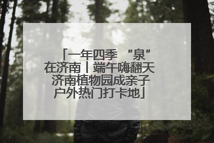 一年四季 “泉”在济南丨端午嗨翻天 济南植物园成亲子户外热门打卡地