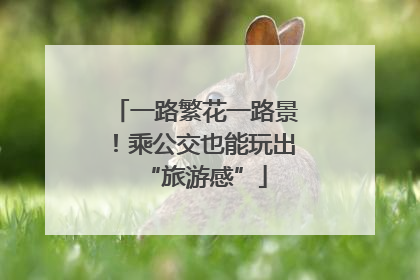 一路繁花一路景！乘公交也能玩出“旅游感”