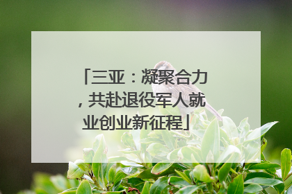 三亚：凝聚合力，共赴退役军人就业创业新征程