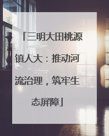 三明大田桃源镇人大：推动河流治理，筑牢生态屏障