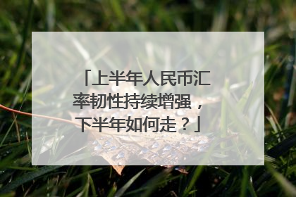 上半年人民币汇率韧性持续增强，下半年如何走？
