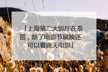 上海第二大影厅在奉贤，除了电影节展映还可以看露天电影