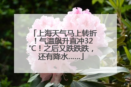 上海天气马上转折！气温飙升直冲32℃！之后又跌跌跌，还有降水……