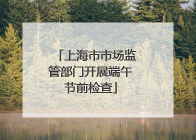 上海市市场监管部门开展端午节前检查