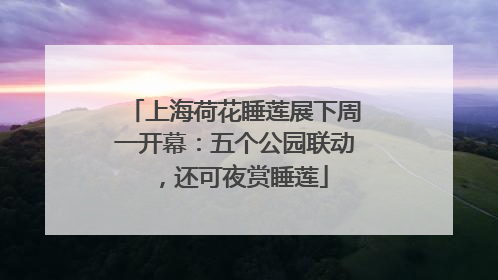 上海荷花睡莲展下周一开幕：五个公园联动，还可夜赏睡莲
