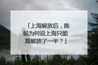 上海解放后，陈毅为何说上海只能算解放了一半？