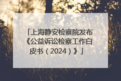 上海静安检察院发布《公益诉讼检察工作白皮书（2024）》