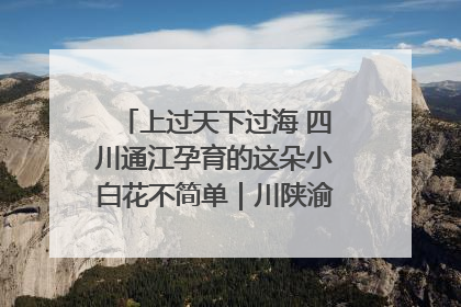 上过天下过海 四川通江孕育的这朵小白花不简单｜川陕渝网络名人巴中行