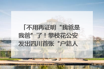 不用再证明“我爸是我爸”了！攀枝花公安发出四川首张“户籍人口直系亲属关系谱”