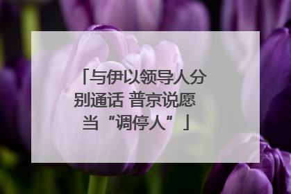 与伊以领导人分别通话 普京说愿当“调停人”