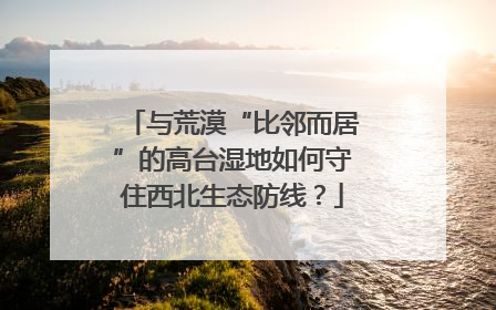 与荒漠“比邻而居”的高台湿地如何守住西北生态防线？