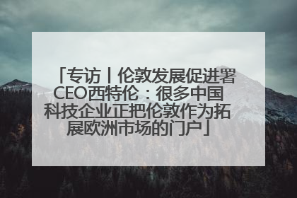 专访丨伦敦发展促进署CEO西特伦：很多中国科技企业正把伦敦作为拓展欧洲市场的门户