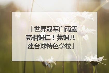 世界冠军白雨露亮相铜仁！莞铜共建台球特色学校