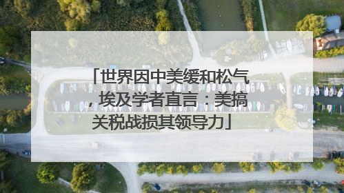 世界因中美缓和松气，埃及学者直言：美搞关税战损其领导力