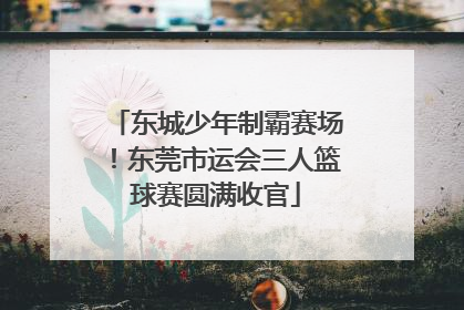 东城少年制霸赛场！东莞市运会三人篮球赛圆满收官