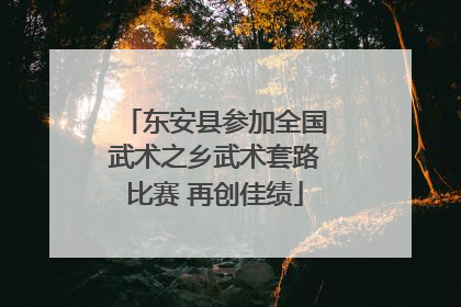 东安县参加全国武术之乡武术套路比赛 再创佳绩