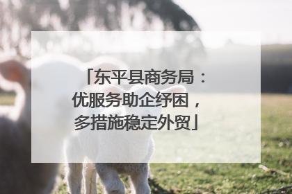 东平县商务局：优服务助企纾困，多措施稳定外贸
