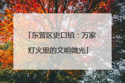 东营区史口镇：万家灯火里的文明微光
