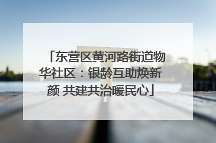 东营区黄河路街道物华社区：银龄互助焕新颜 共建共治暖民心