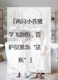 两只小苍鹭学飞刮伤，管护员紧急“送医”