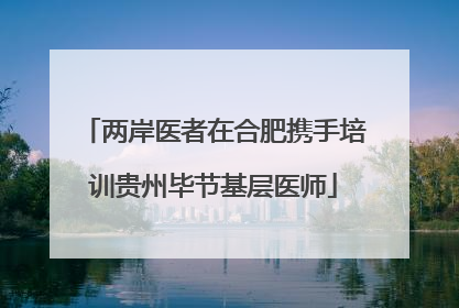 两岸医者在合肥携手培训贵州毕节基层医师